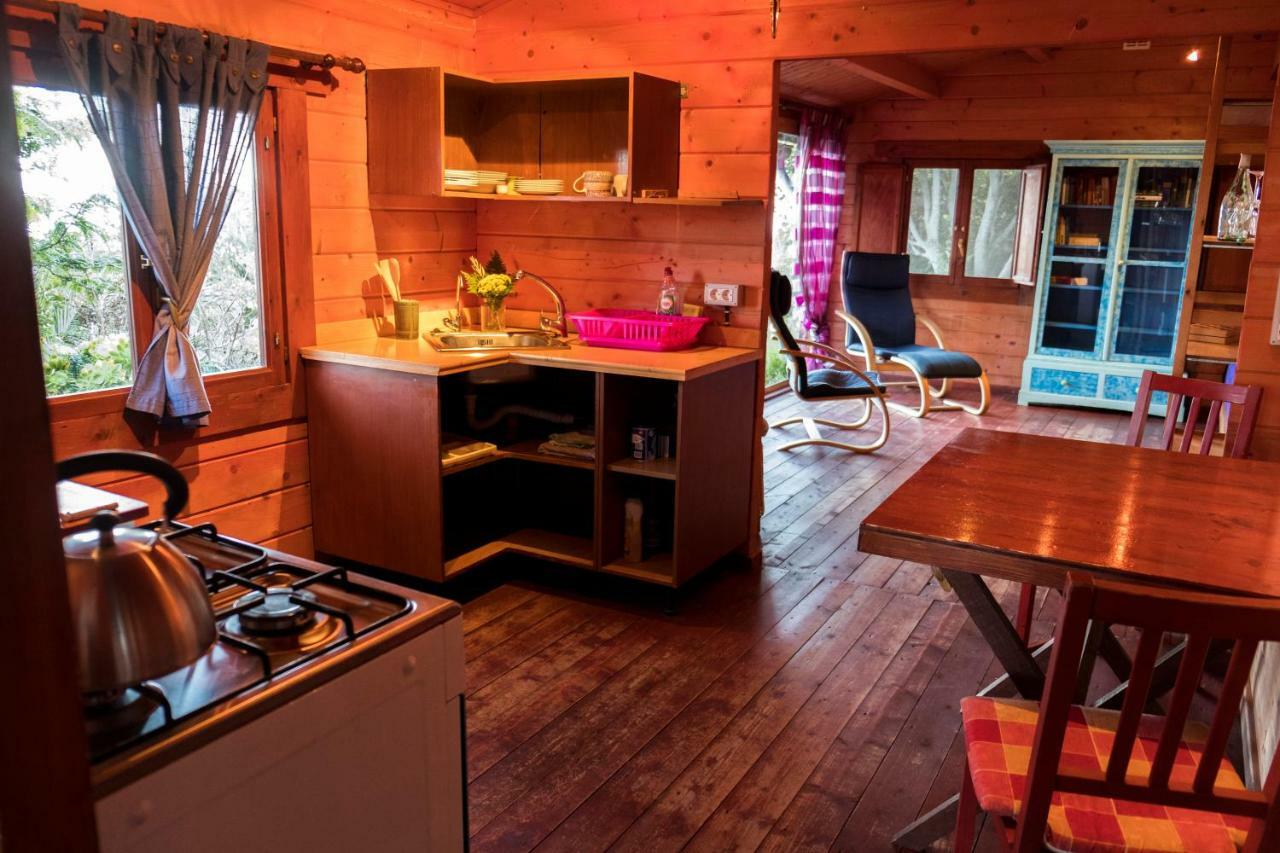 Finca Pura Vida Blockhaus Mazo Eksteriør bilde