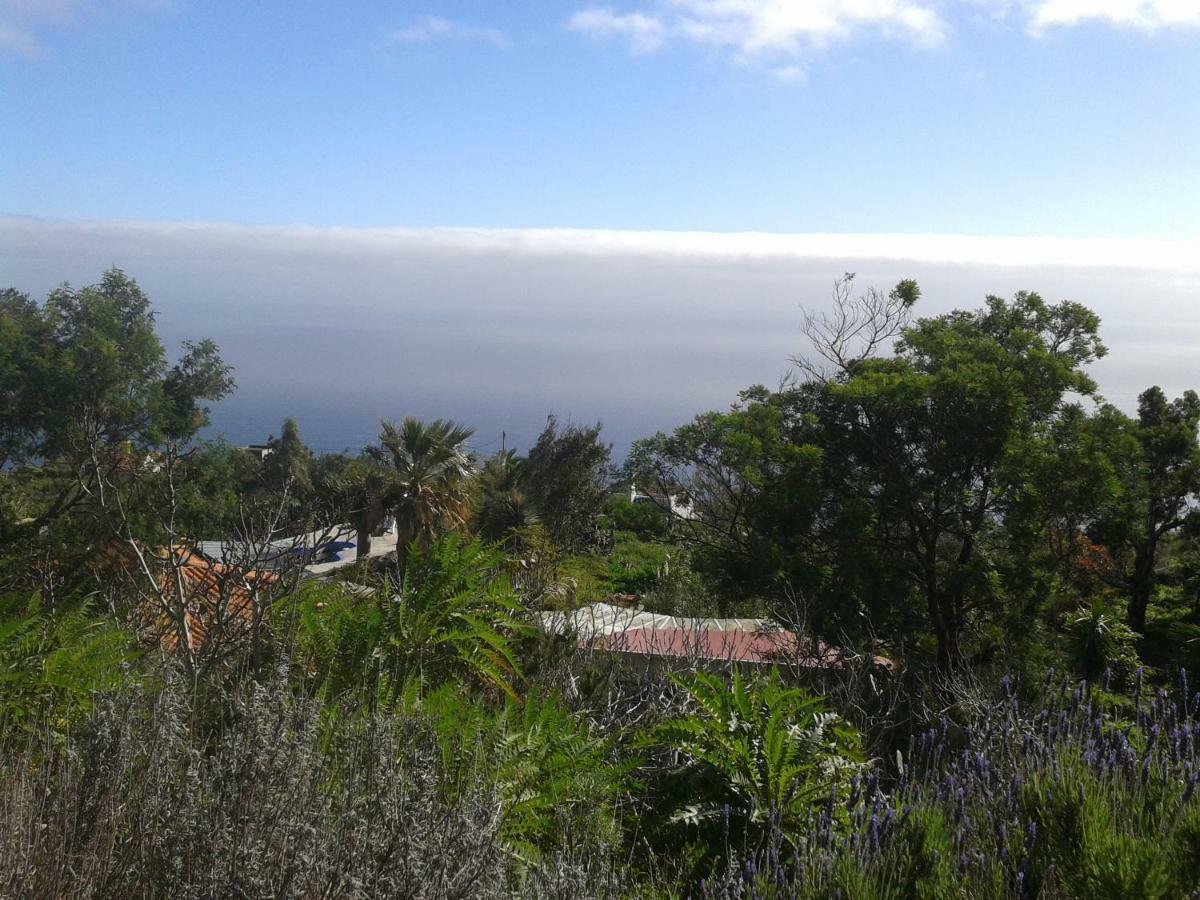 Finca Pura Vida Blockhaus Mazo Eksteriør bilde